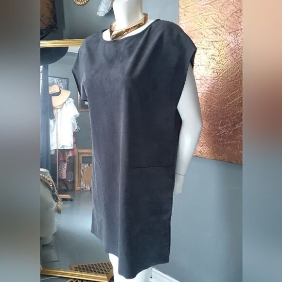 Wilfred Free Faux Suede Mini Dress - Picture 6 of 13